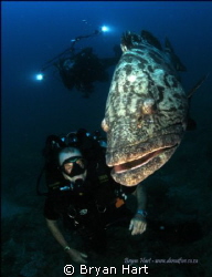 Went to Sodwana to try out re- breathers. Fish love photo... by Bryan Hart 